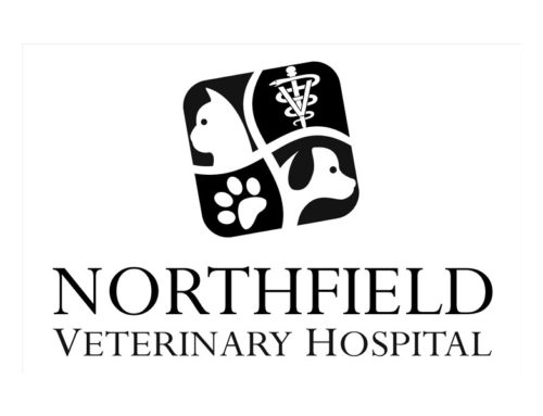 Northfield Veterinary Hospital