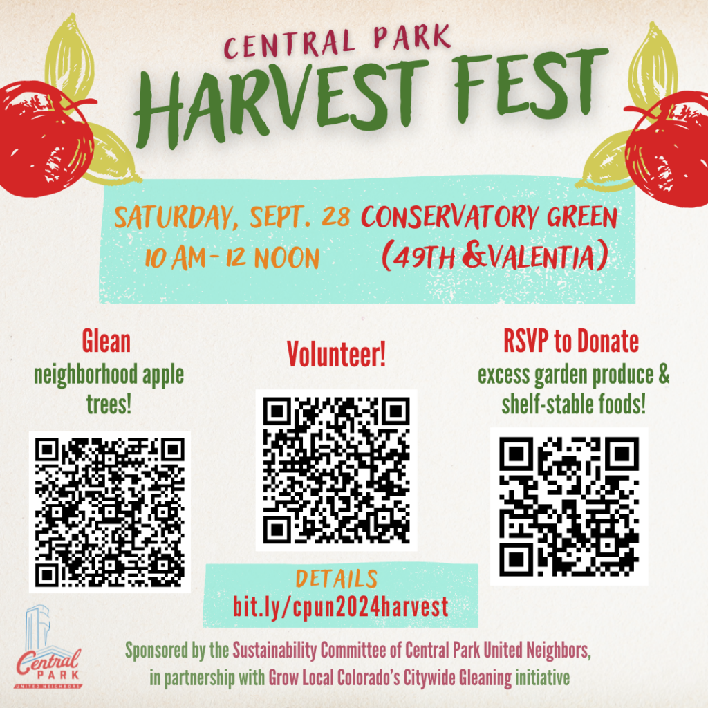 Central Park Harvest Fest