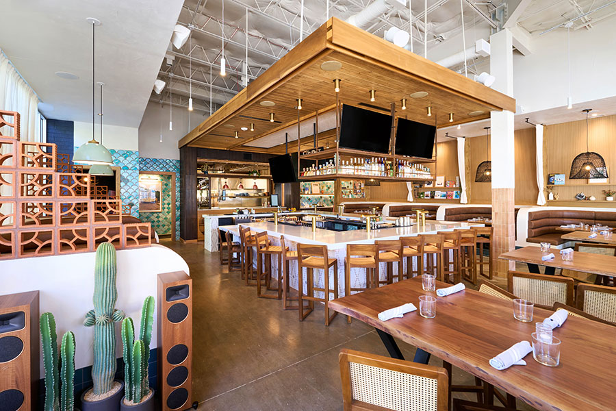 Lady Nomada interior