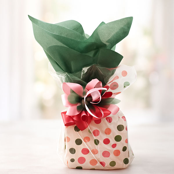 Wrapp’d in Joy gifts Wrapp'd in Joy gifts