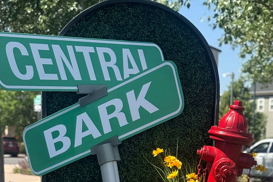 Central Bark