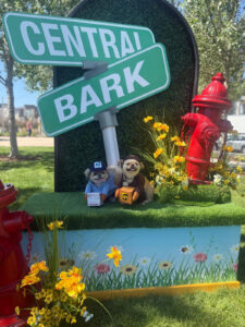 Central Bark dogs