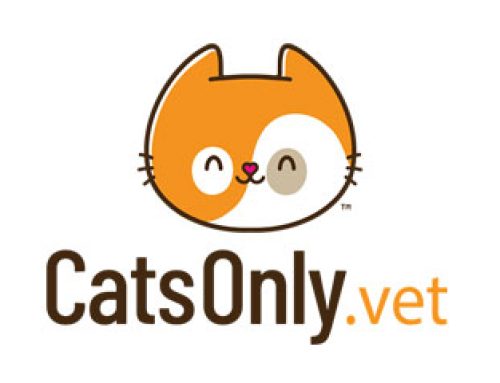 CatsOnly.Vet